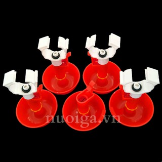 10 núm uống gà con
