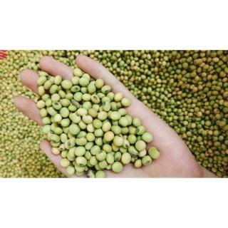 1kg Đậu nành quê vỏ xanh hạt nhỏ