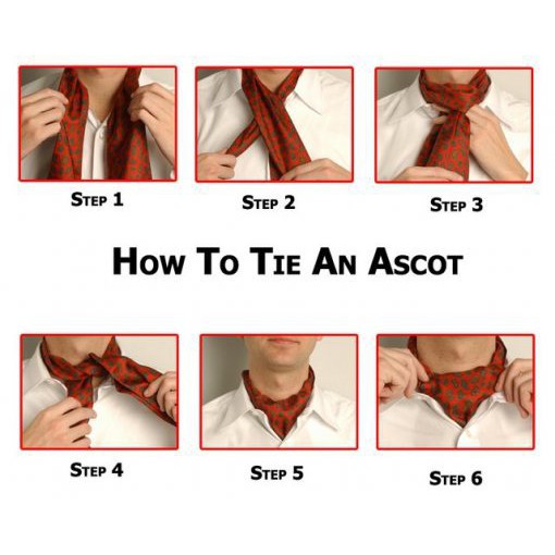 Ascot tie - Khăn quàng cổ cho nam