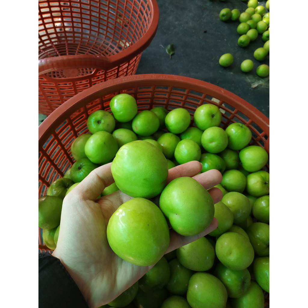 Táo Sấy - Đặc sản Phan Rang Ninh Thuận (500 gram) | BigBuy360 - bigbuy360.vn