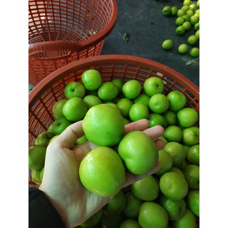 Táo Sấy - Đặc sản Phan Rang Ninh Thuận (500 gram)