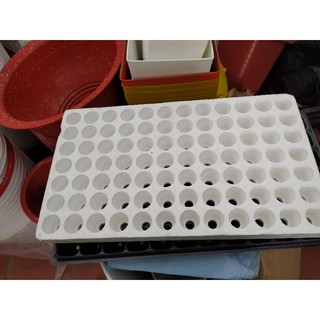khay ươm hạt bằng xốp 84 lỗ