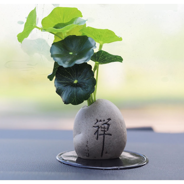 Cây Rau Má Nhật lá tròn giả trang trí tiểu cảnh - ô tô tao nhã