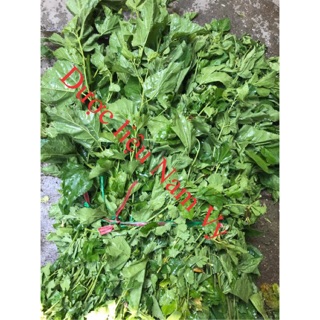 Lá dâu tằm tươi 500gram