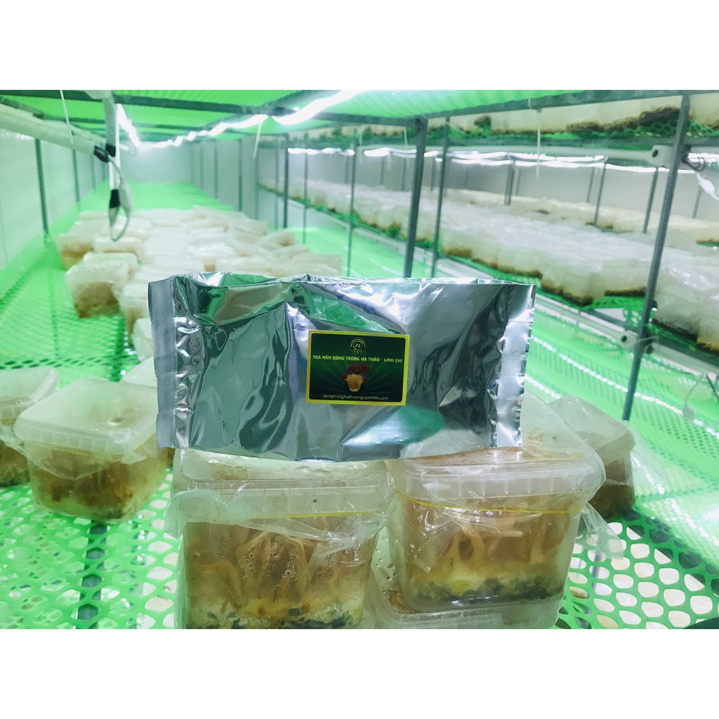 Trà đông trùng hạ thảo Linh Chi hộp 25 gói LC1 | BigBuy360 - bigbuy360.vn