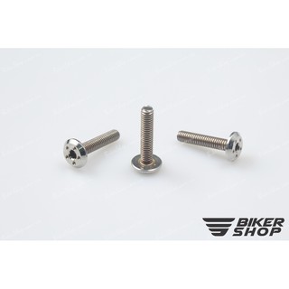 Ốc lục giác dẹp bi 4x20 inox CNC