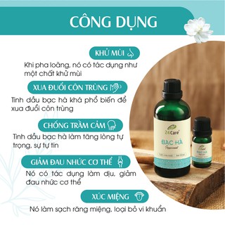 Combo 2 chai Tinh dầu Java & Tinh dầu Bạc Hà 24Care (10ml/chai)