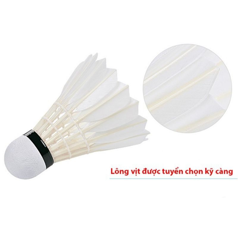Cầu lông hải yến bạc(6-12 quả