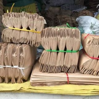 100 Túi Xi măng 5kg