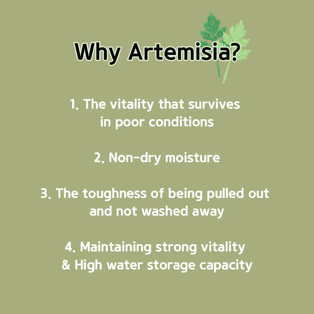 Kem Nước Làm Dịu Da Artemisia 1 + 1  75ml