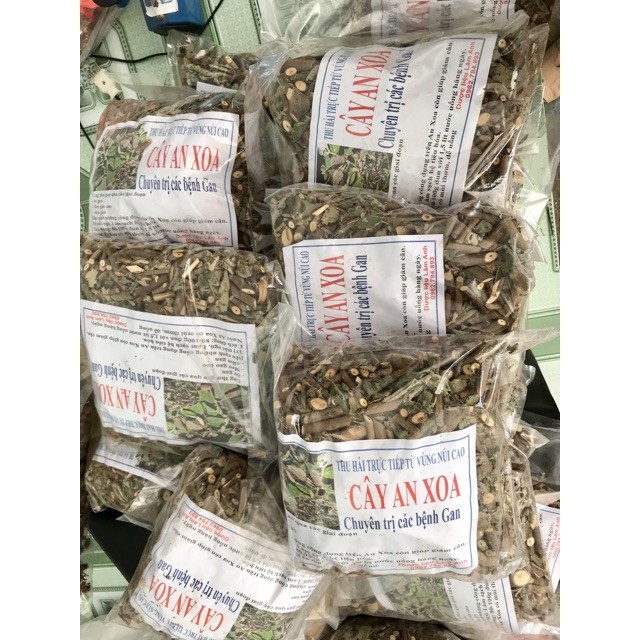 Cây an xoa khô