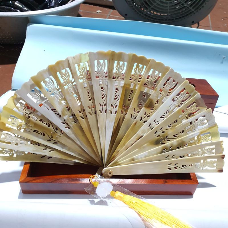 Quạt sừng vân tự nhiên size 20 cm