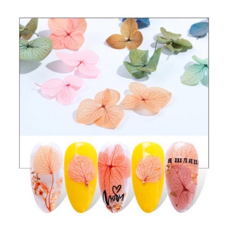 Hoa khô- hoa tú cầu - Set Hoa Khô -  Hoa Lụa Ẩn Gel Ẩn Bột Trang Trí Móng Làm Nail