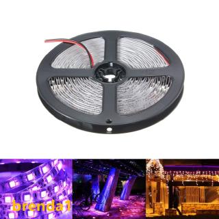 Cuộn dây đèn led UV diệt khuẩn 12v 5m 390-400nm màu tím