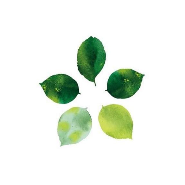 gree hopy_dược mỹ phẩmDr.lacir