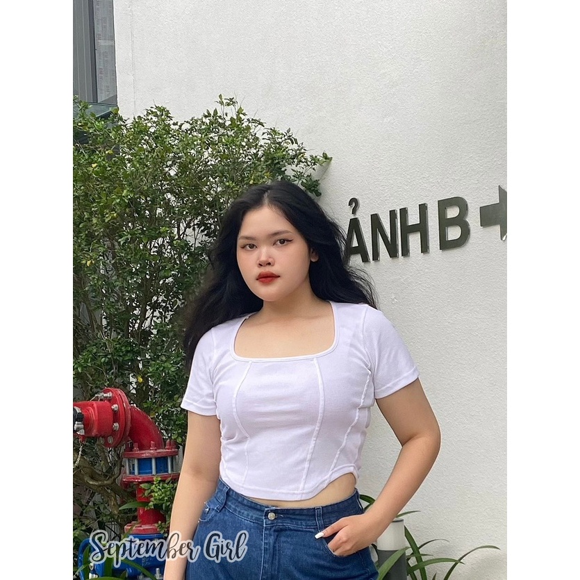 (AOCROP M-L-XL-XXL) Áo Croptop Thun Trắng Cổ Chữ U, Form Ôm Nhẹ