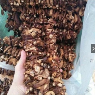Nấm hương rừng đặc sản Tây Bắc