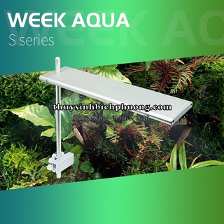 Đèn led week s series rgb - chuyên dùng trồng cây thủy sinh
