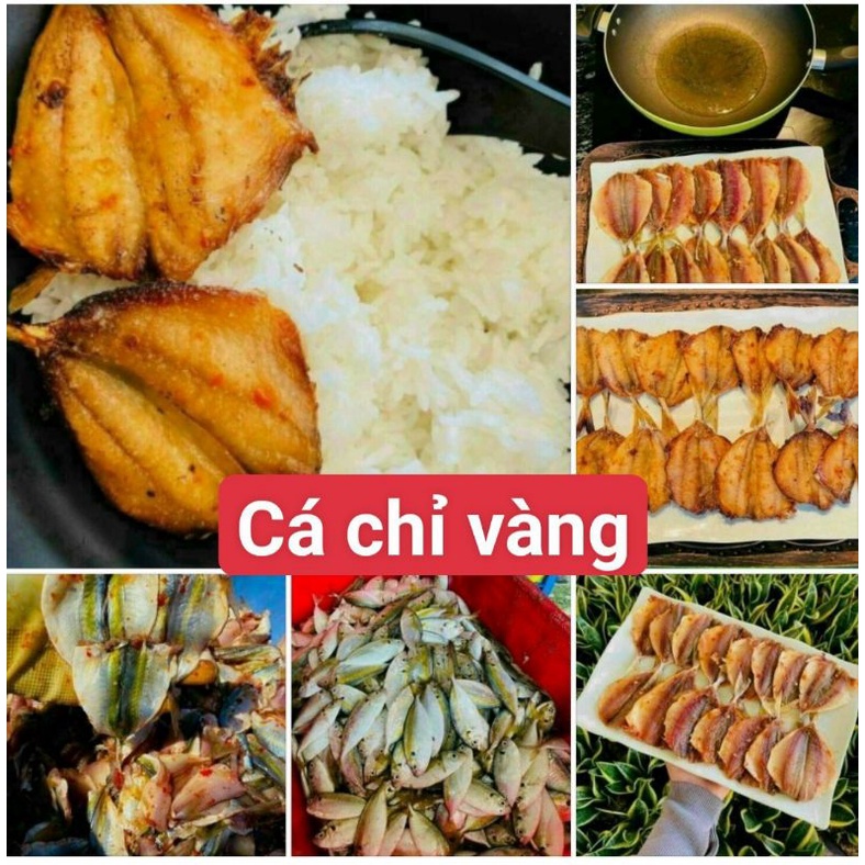 Cá chỉ vàng 500g