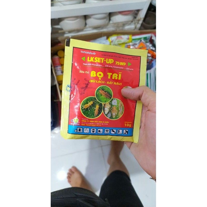Siêu Trị bọ trĩ