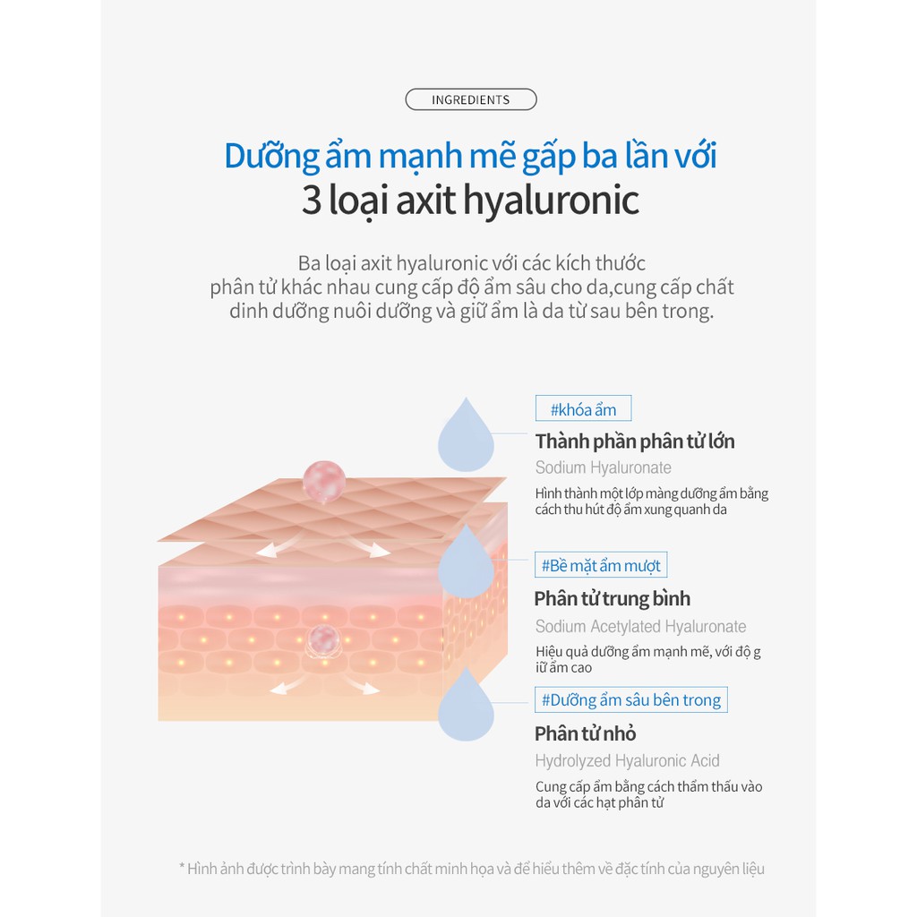 Nước hoa hồng dưỡng da chuyên sâu Bergamo Hyaluronic Acid 210ml