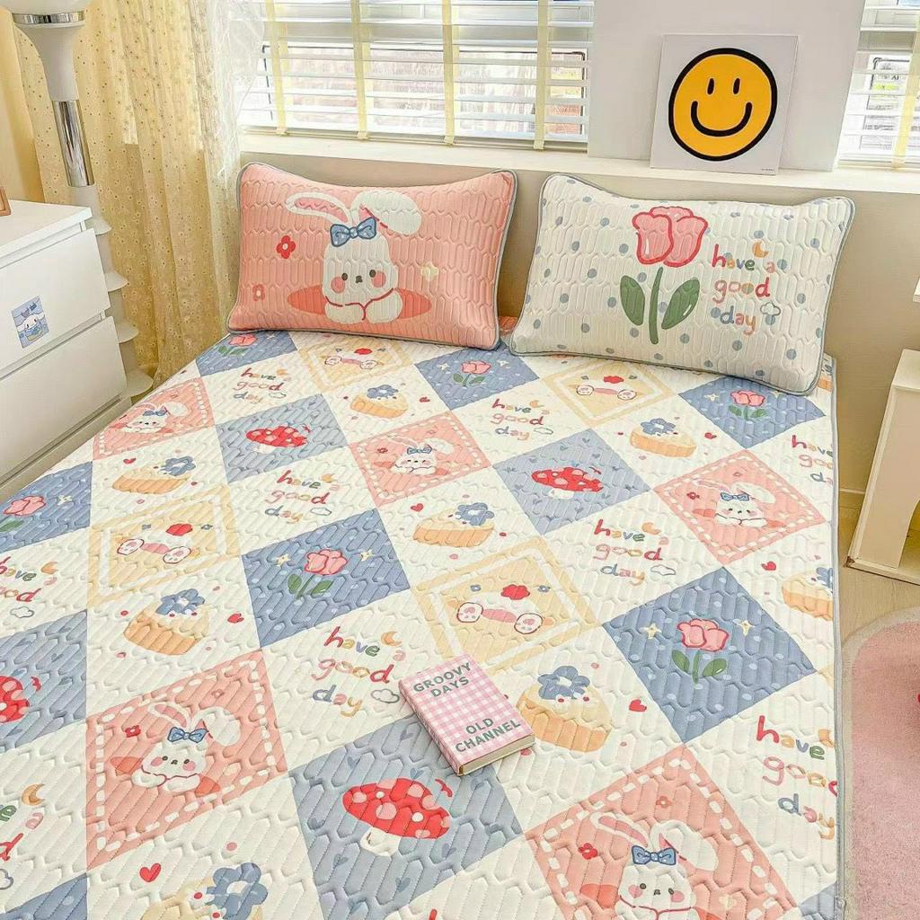 Chiếu Điều Hòa Cao Su Non 6D Hàng Loại 1 Có Sẵn Đủ Size mới nhất 2023  - Ngân Khánh Bedding