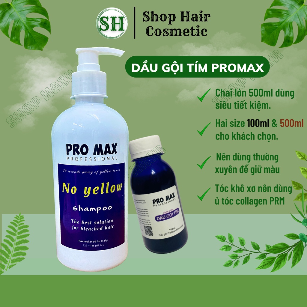 Dầu gội tím Promax, dầu gội khử vàng và giữ màu dành cho tóc tẩy nhuộm màu thời trang | Bill Hair, Billhair