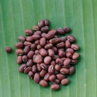 Đậu Đỏ Thuần Chủng 500gram