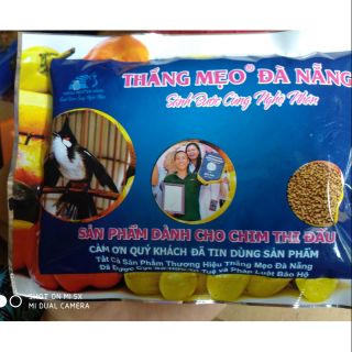 Cám chào mào THẮNG MẸO dành cho chim thi đấu