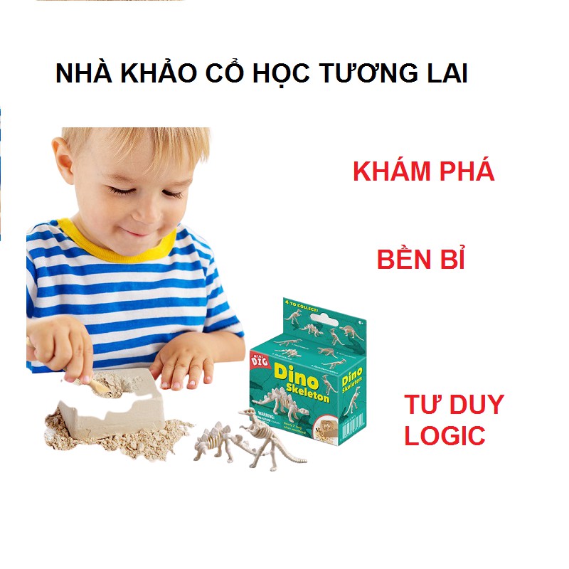 Đồ Chơi Khảo Cổ [FREE SHIP] Tìm Hóa Thạch Khủng Long Dino Skeleton