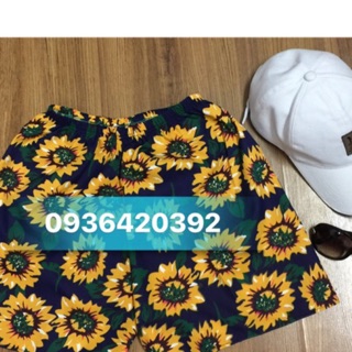 Quần hoa hướng dương 🌻🌻🌻🌻🌻🌻🌻🌻🌻🌻🌻