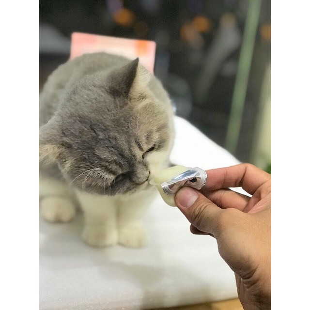 Pudding thạch sữa dê bổ sung canxi cho mèo gói 225g