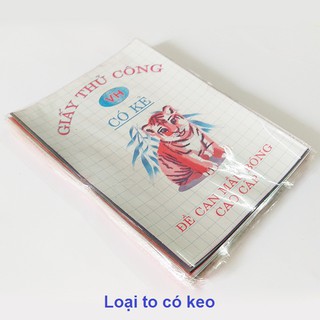 Bịch 20 túi giấy thủ công cỡ lớn 22.5 x17Cm, giấy decan