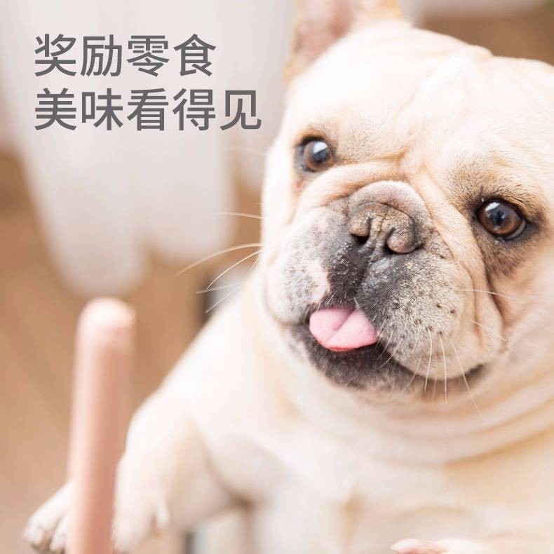 Fair's 40 gốc Ham Xúc xích Pet Food Dog Snack Gold Mao Teddy Dog Xúc xích Dinh dưỡng