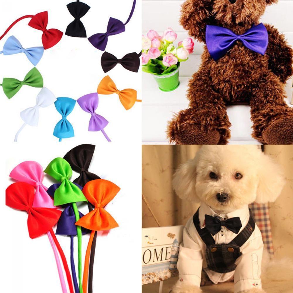 Vòng Cổ Thú Cưng Nhiều Màu Dễ Thương