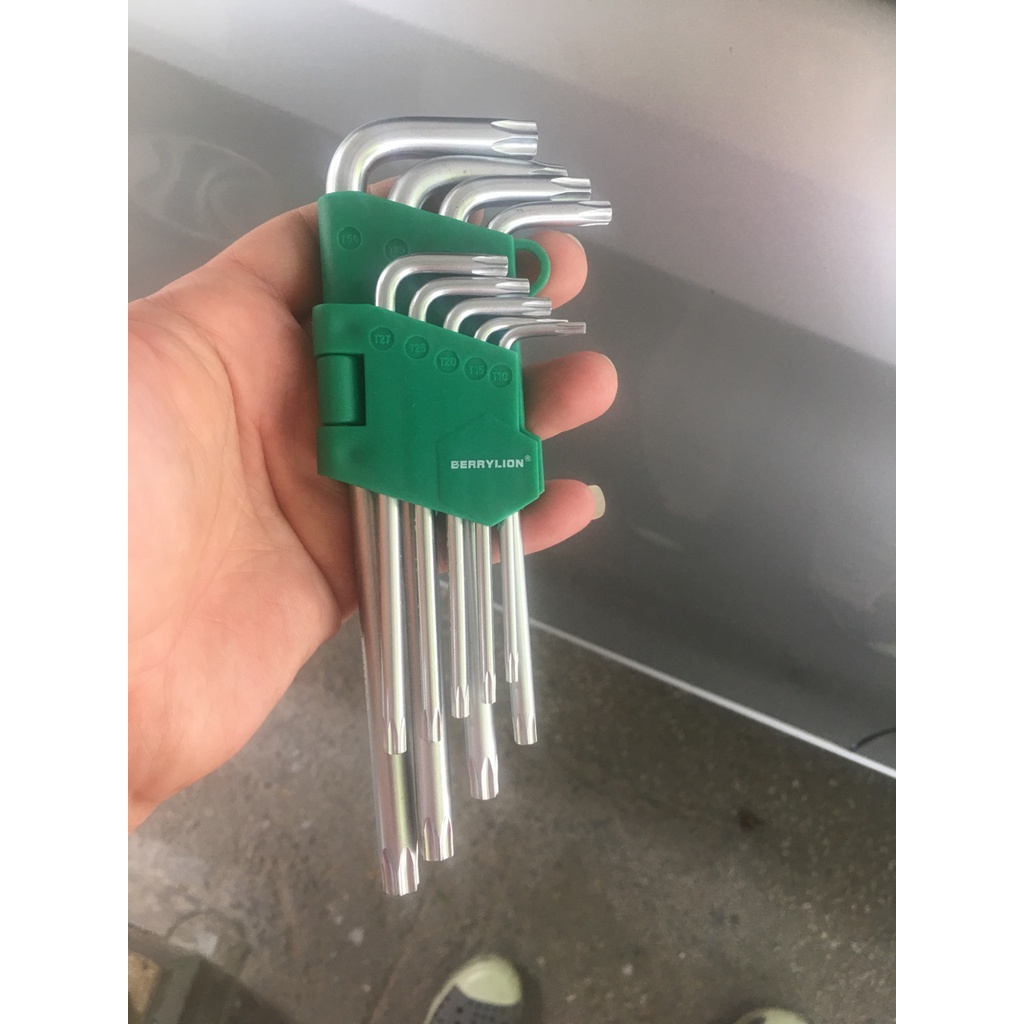 Bộ lục giác đầu bông 9 cây  T10-T50 ( Berrylion 17mm)