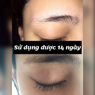 TINH CHẤT DƯỠNG DÀI MI MAROC MPĐT 10ML – HỖ TRỢ LÔNG MI DÀI, CONG VÀ DÀY TỰ NHIÊN