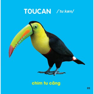 Bách Khoa Toàn Thư Cho Bé - Các Loài Chim