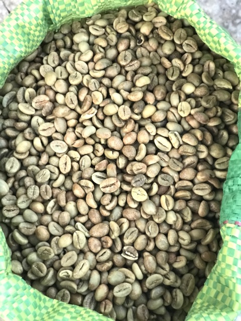 [SIÊU SẠCH] 5Kg Cà Phê Robusta 2019 Nhân Sống Chưa Rang