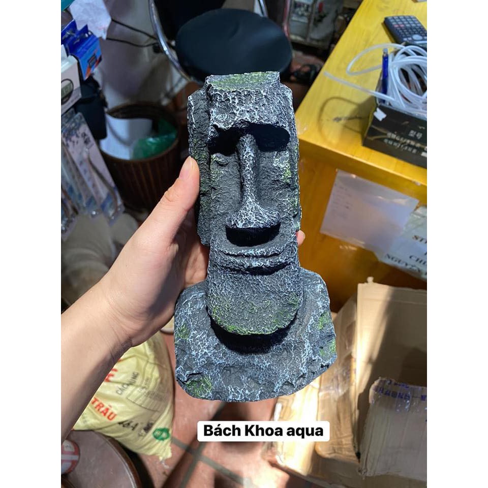 Mặt người trang trí bể cá