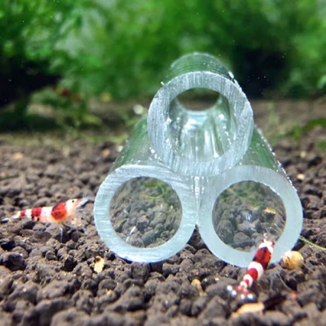 ỐNG ARCYLIC TRANG TRÍ HỒ CÁ TÉP (5cm)