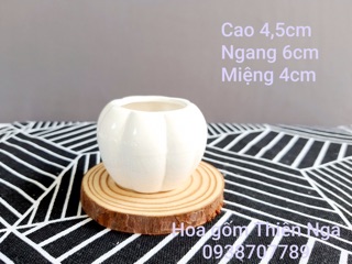 Chậu bí gốm sứ mini cao 4,5 cm