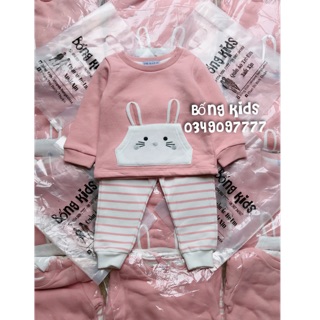 Bộ nỉ bé gái thỏ bunny pr