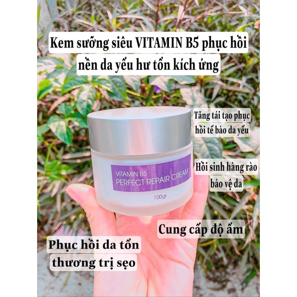 Kem Dưỡng Phục Hồi Da Ahohaw Vitamin B5 Perfect Repair Cream 100g