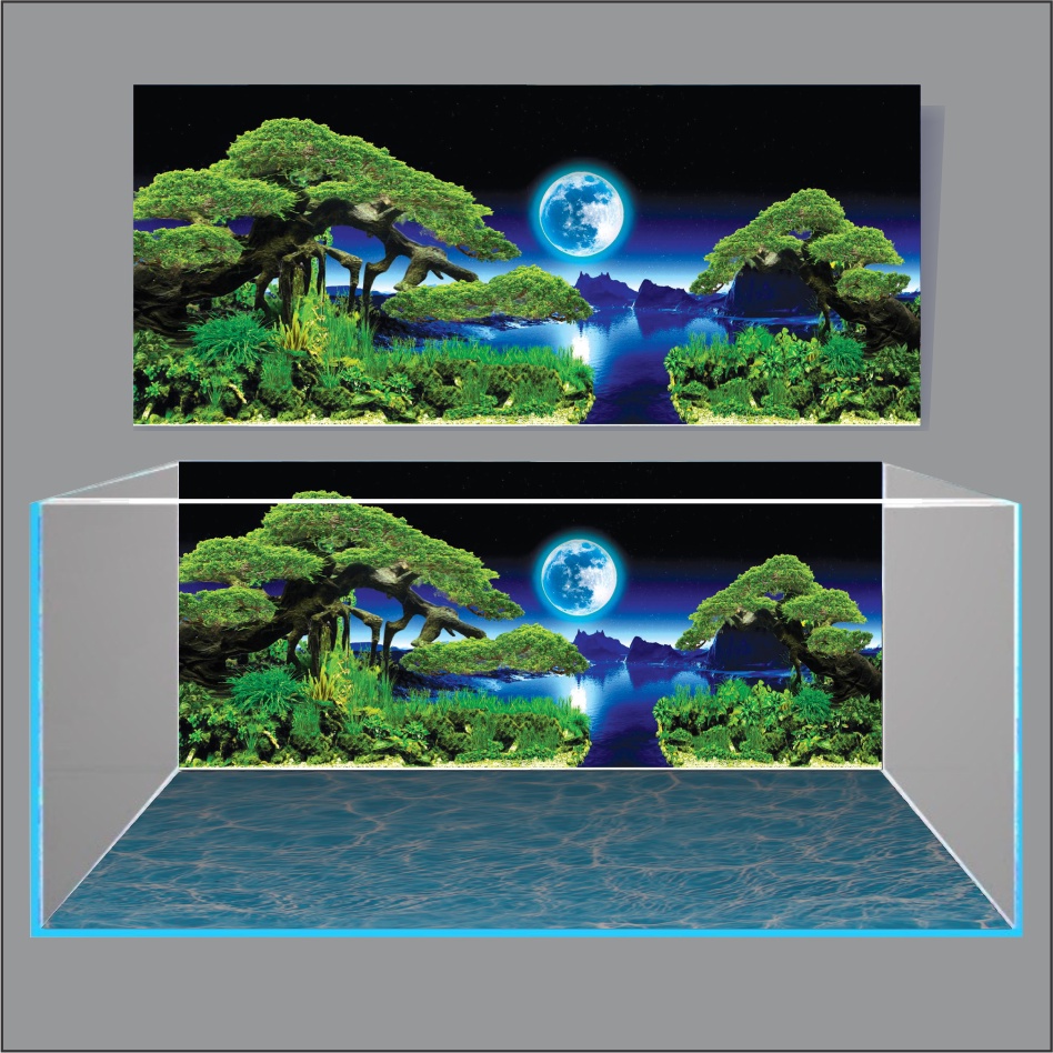 TRANH 3D DÁN HỒ CÁ NEW MOON LIGHT_TRANH LƯNG