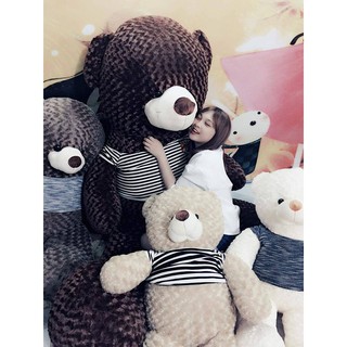 [Rẻ Nhẩt] Gấu Teddy Áo thun 1 mét (100cm) Cao cấp