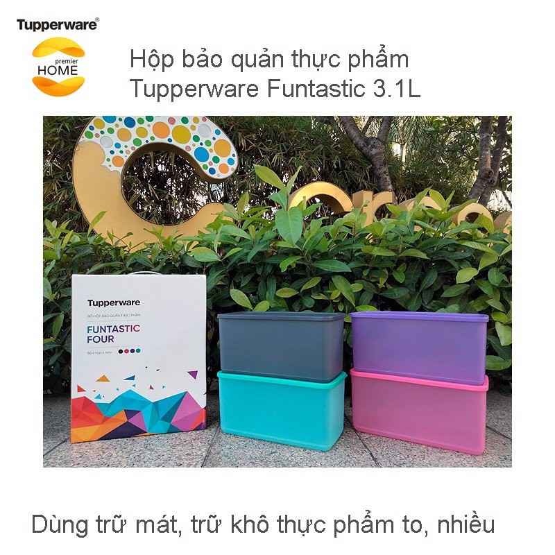 Bộ trữ mát Freshia / Funtastic four 3.1L / Stak n stor / Coolmate / midi deco Tupperware | BigBuy360 - bigbuy360.vn