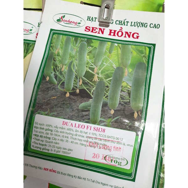 Dưa leo Sen Hồng gói 20 hạt