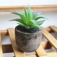 Chậu cây xương rồng giả để bàn (kèm chậu)