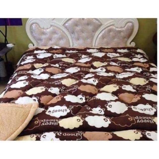 Chăn lông cừu cao cấp